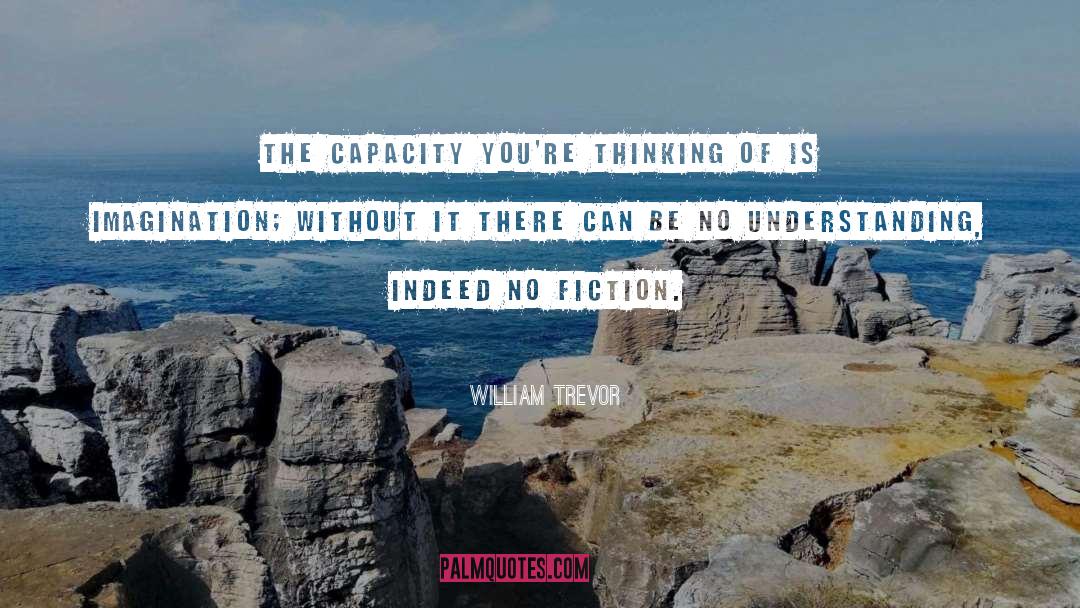 William Trevor Quotes: The capacity you're thinking of