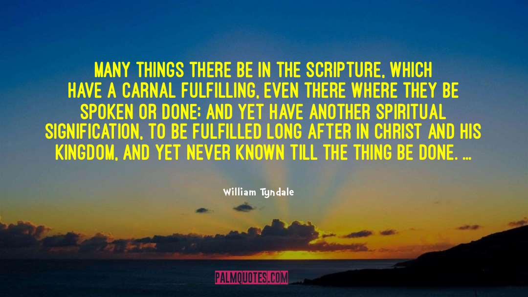 William Tyndale Quotes: Many things there be in