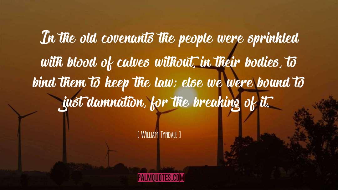 William Tyndale Quotes: In the old covenants the
