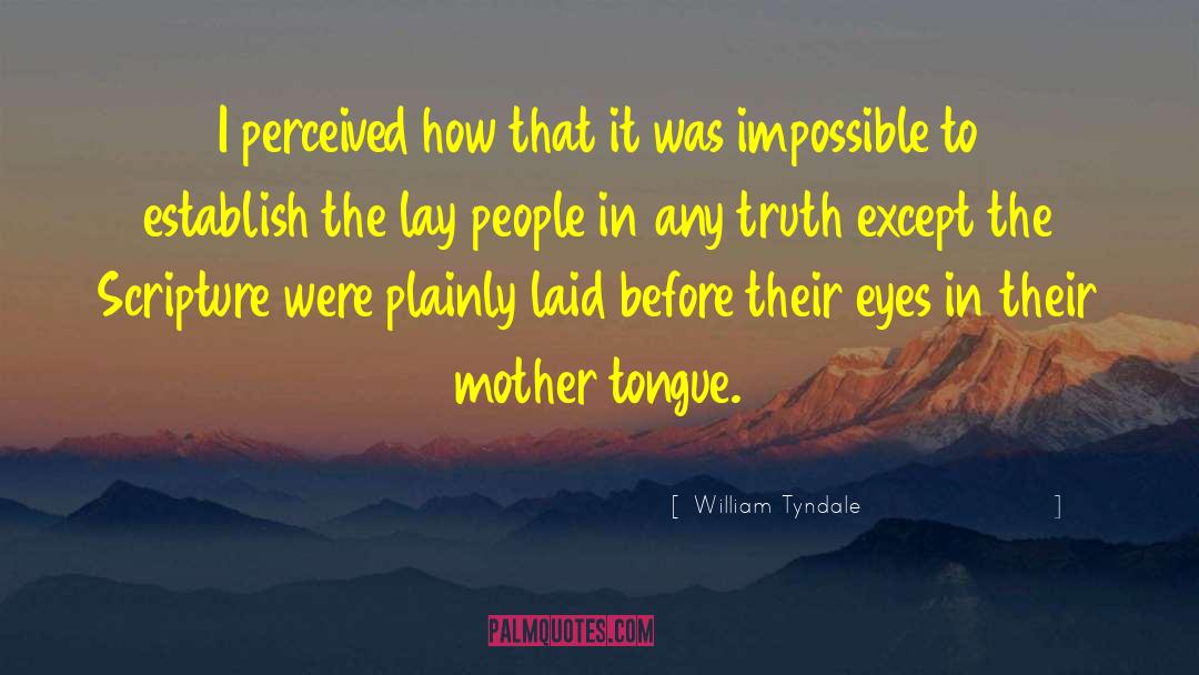 William Tyndale Quotes: I perceived how that it