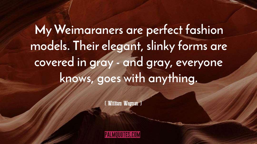 William Wegman Quotes: My Weimaraners are perfect fashion