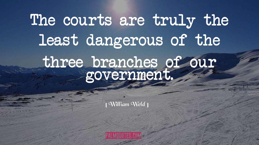 William Weld Quotes: The courts are truly the