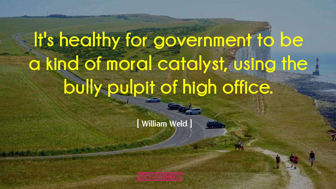 William Weld Quotes: It's healthy for government to