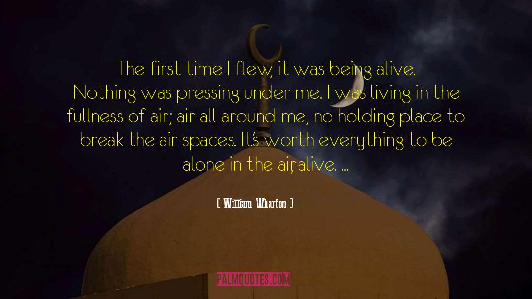 William Wharton Quotes: The first time I flew,