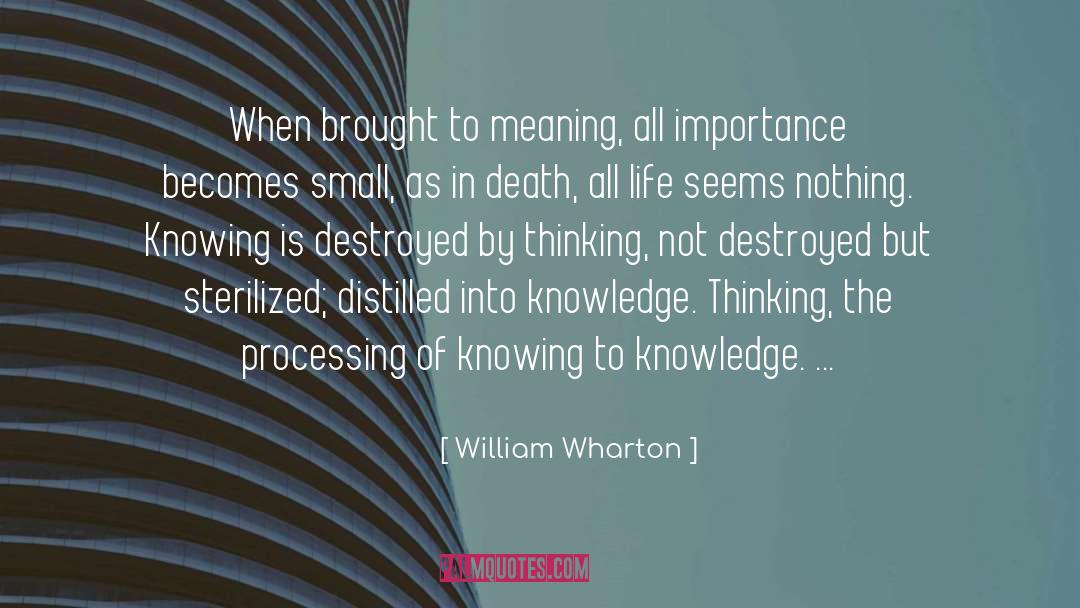 William Wharton Quotes: When brought to meaning, all