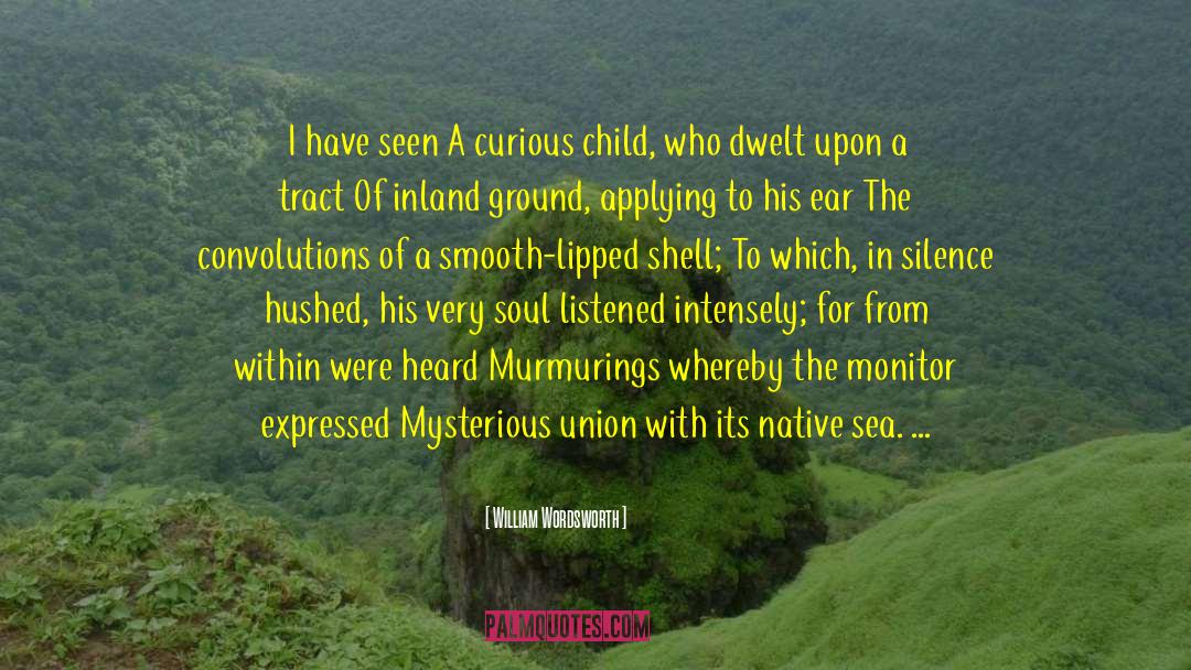 William Wordsworth Quotes: I have seen A curious