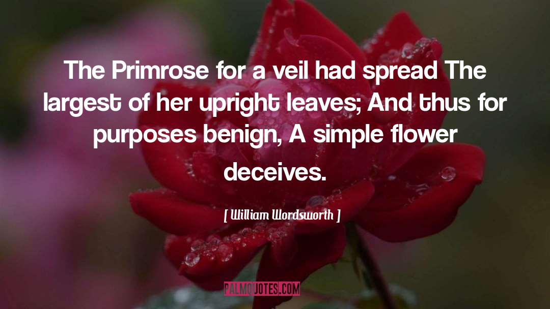 William Wordsworth Quotes: The Primrose for a veil