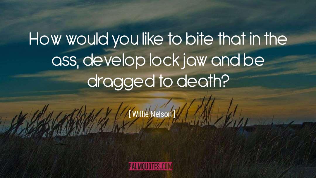 Willie Nelson Quotes: How would you like to
