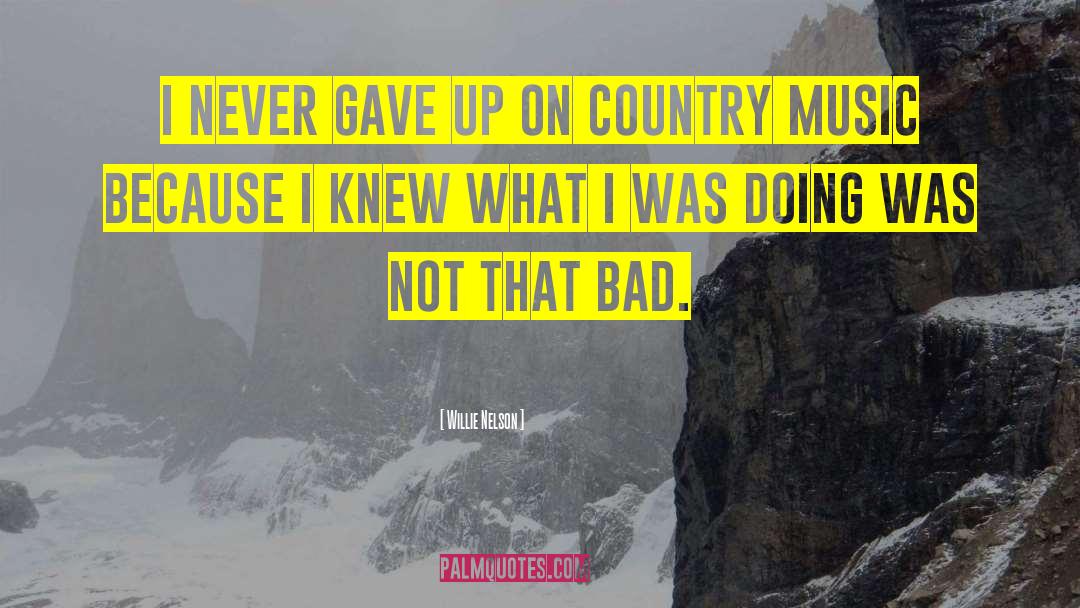 Willie Nelson Quotes: I never gave up on