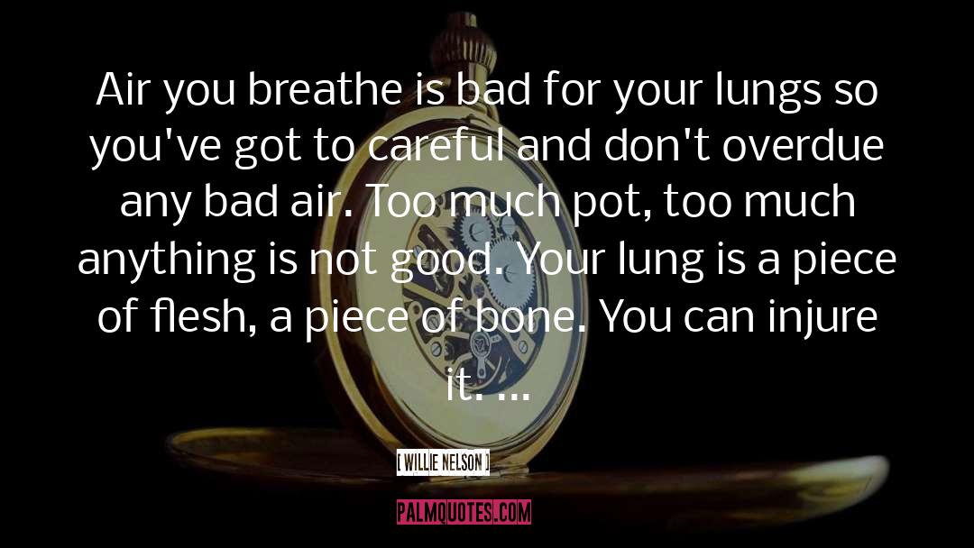 Willie Nelson Quotes: Air you breathe is bad