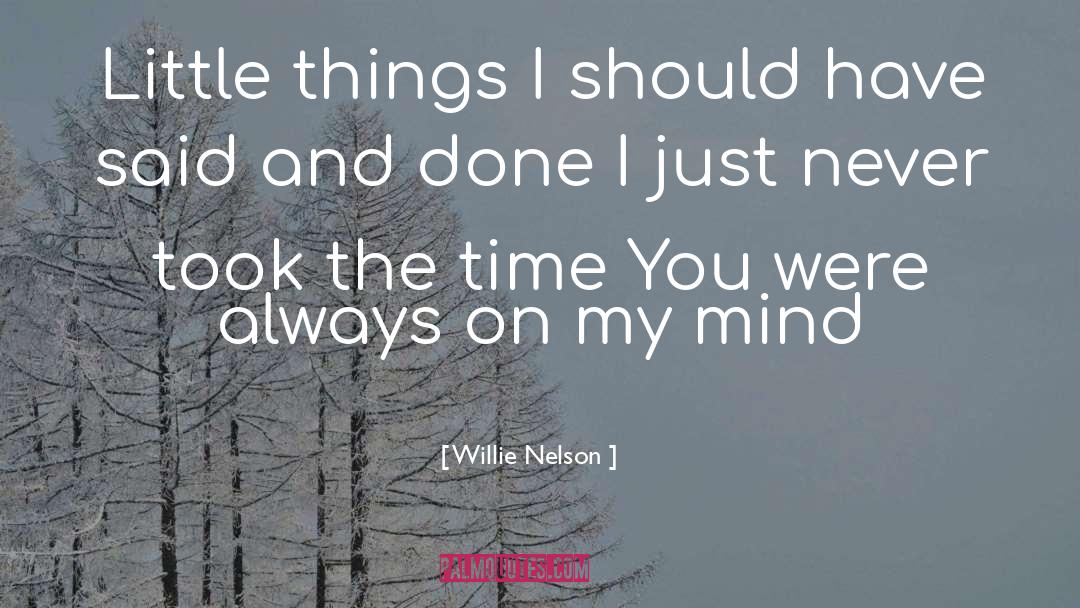 Willie Nelson Quotes: Little things I should have