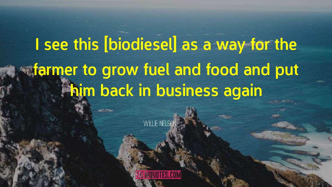 Willie Nelson Quotes: I see this [biodiesel] as