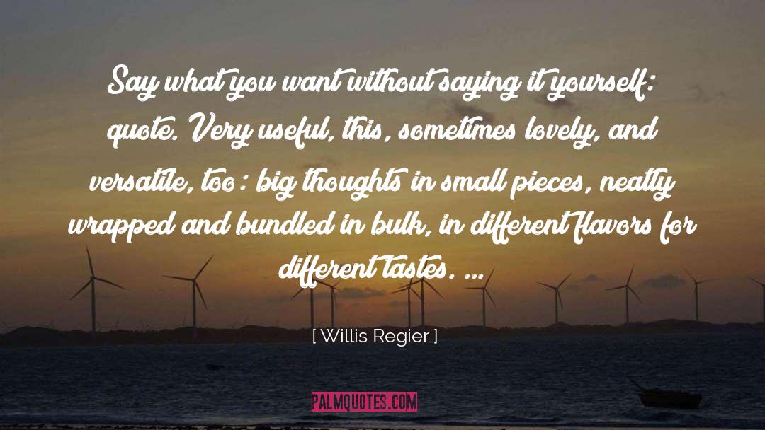 Willis Regier Quotes: Say what you want without