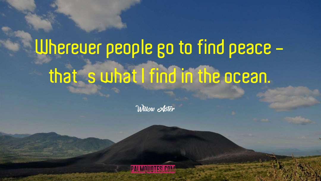 Willow Aster Quotes: Wherever people go to find