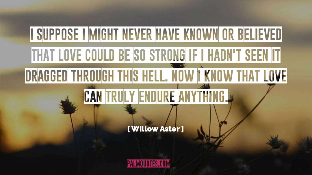 Willow Aster Quotes: I suppose I might never