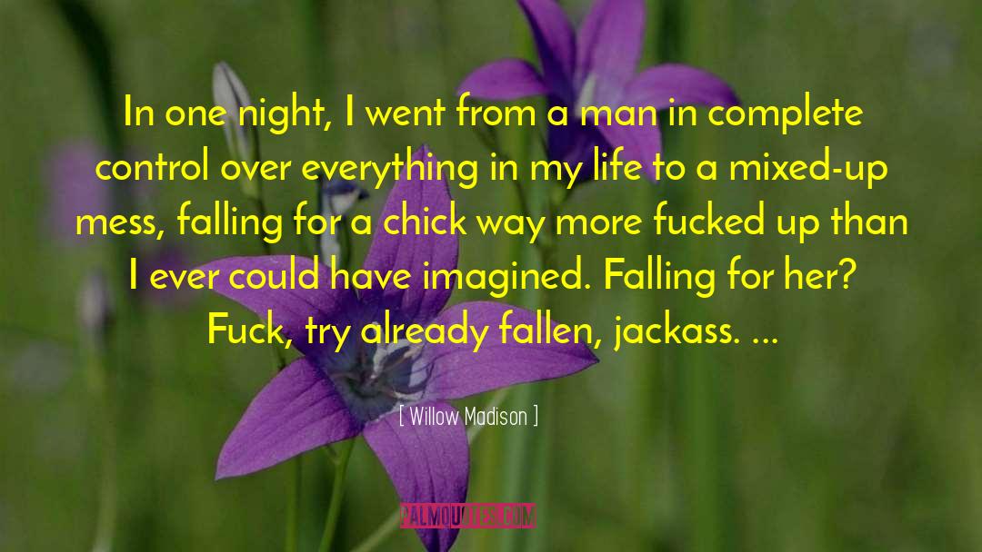 Willow Madison Quotes: In one night, I went