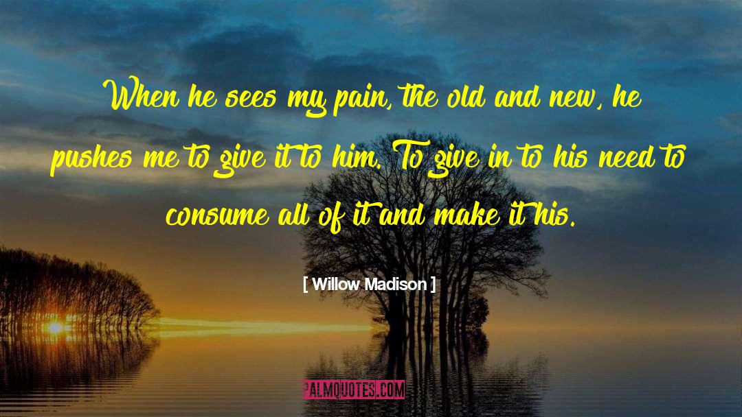 Willow Madison Quotes: When he sees my pain,