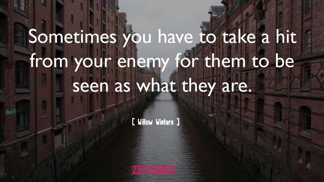 Willow Winters Quotes: Sometimes you have to take