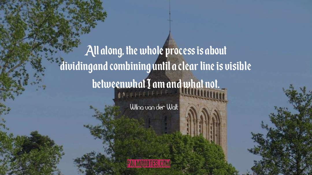 Wilna Van Der Walt Quotes: All along, the whole process