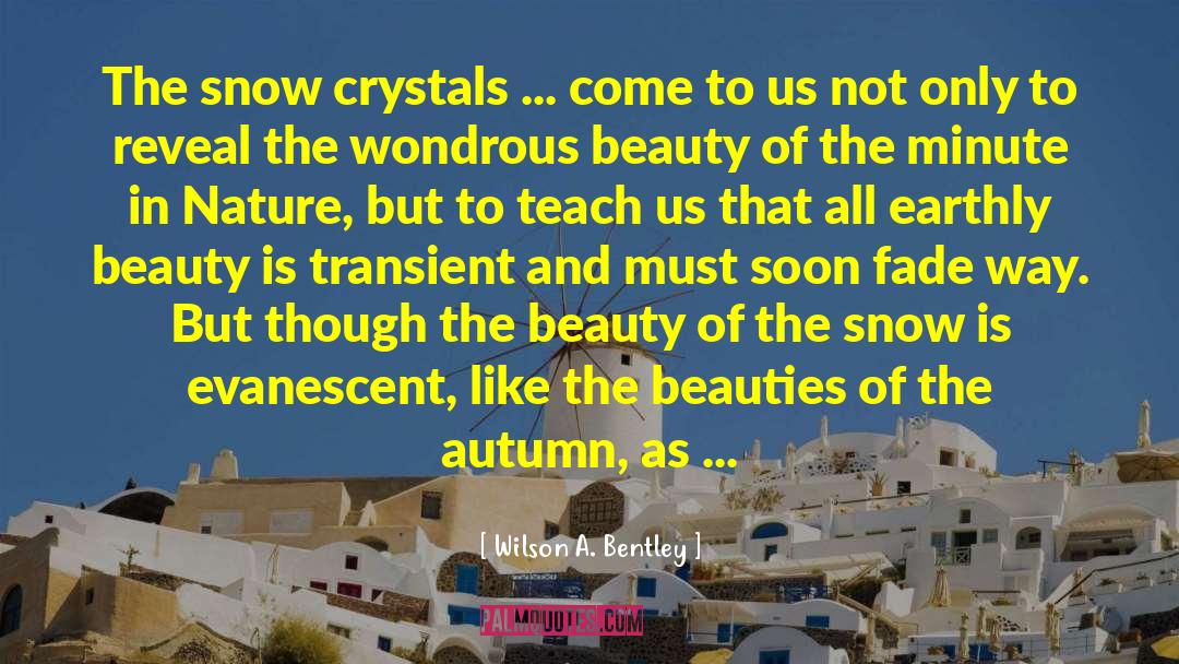 Wilson A. Bentley Quotes: The snow crystals ... come