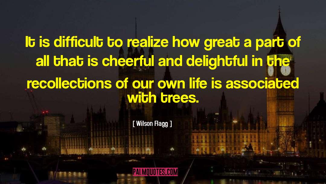 Wilson Flagg Quotes: It is difficult to realize