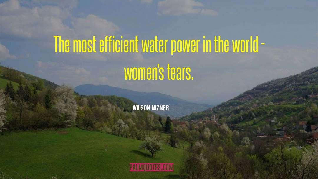 Wilson Mizner Quotes: The most efficient water power