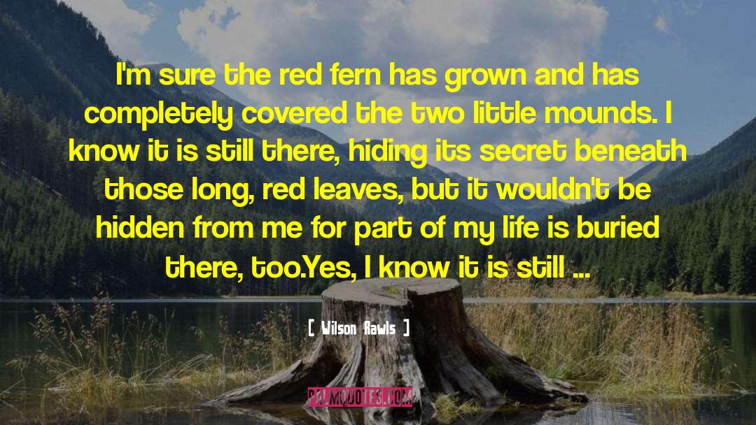 Wilson Rawls Quotes: I'm sure the red fern