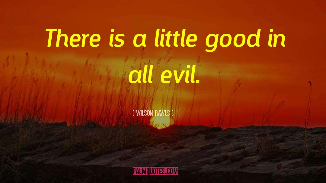 Wilson Rawls Quotes: There is a little good