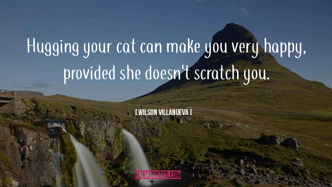 Wilson Villanueva Quotes: Hugging your cat can make