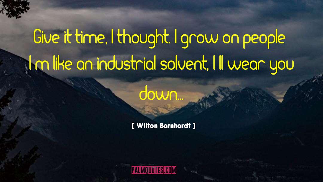 Wilton Barnhardt Quotes: Give it time, I thought.