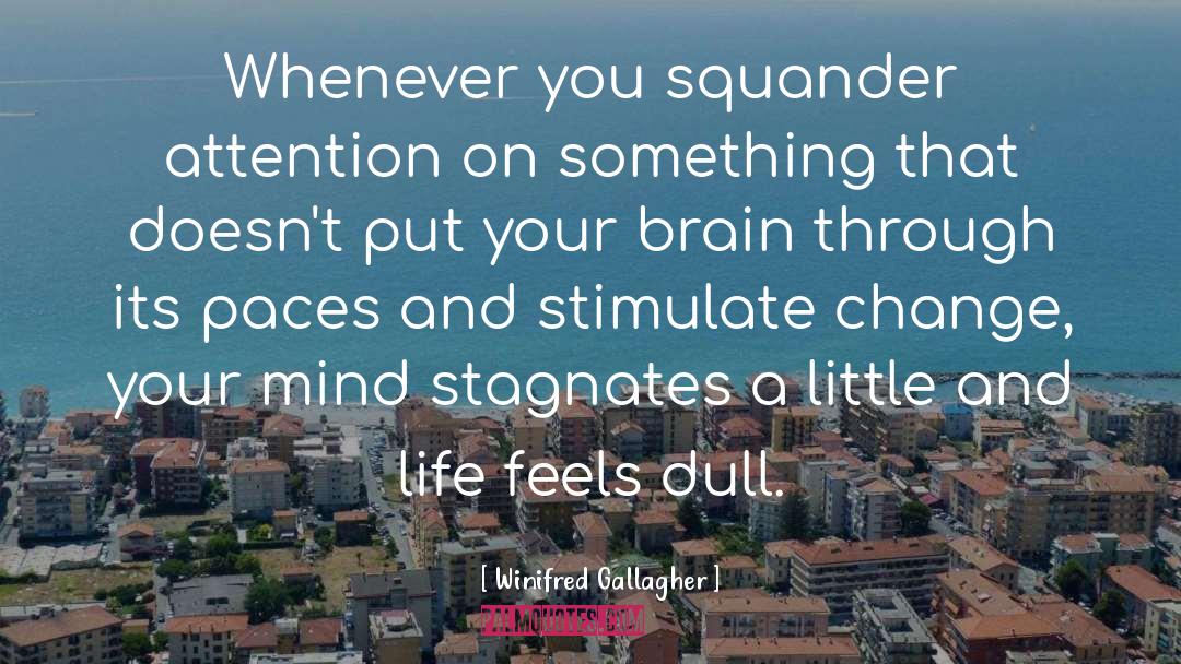 Winifred Gallagher Quotes: Whenever you squander attention on