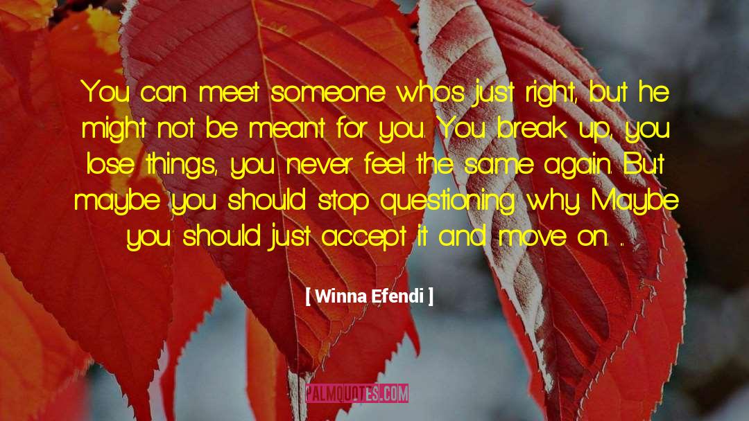 Winna Efendi Quotes: You can meet someone who's
