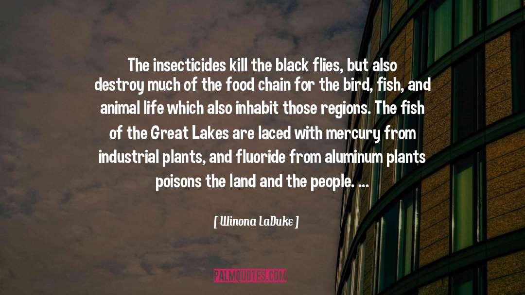 Winona LaDuke Quotes: The insecticides kill the black