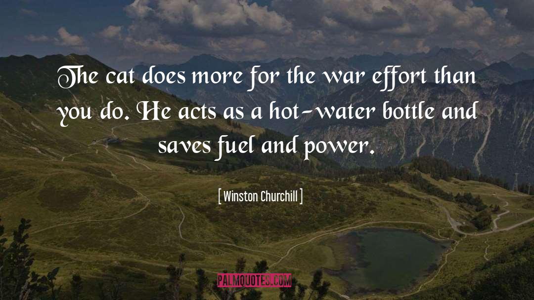 Winston Churchill Quotes: The cat does more for