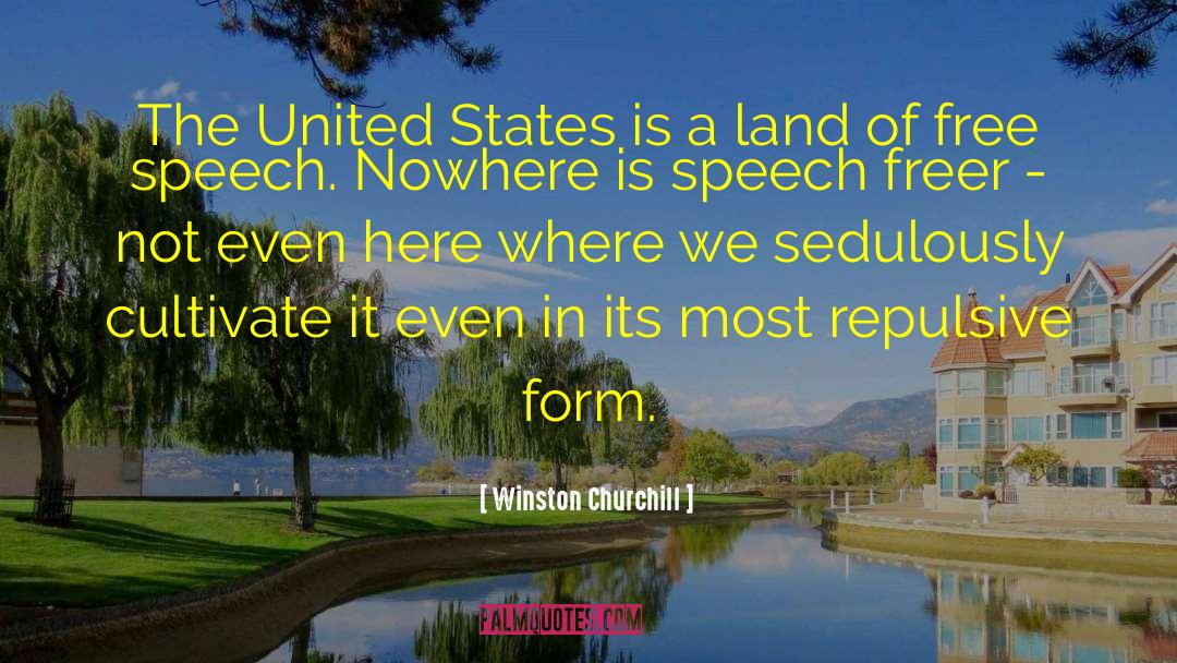 Winston Churchill Quotes: The United States is a