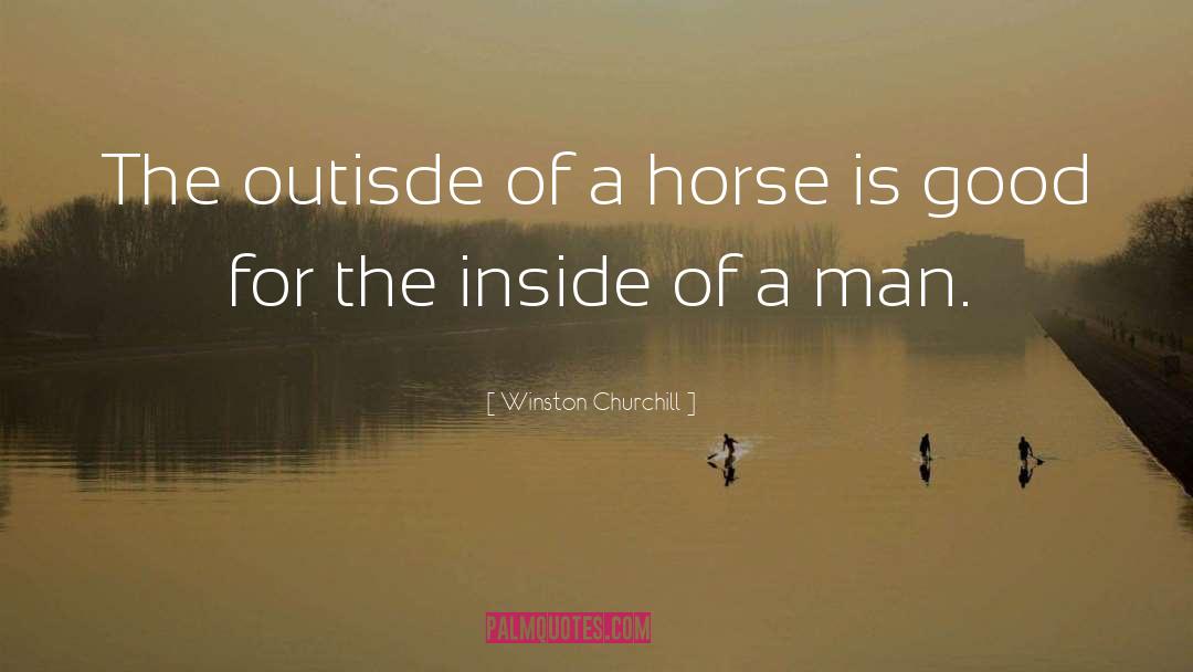 Winston Churchill Quotes: The outisde of a horse