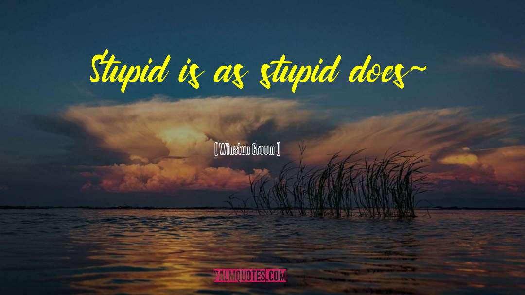 Winston Groom Quotes: Stupid is as stupid does~