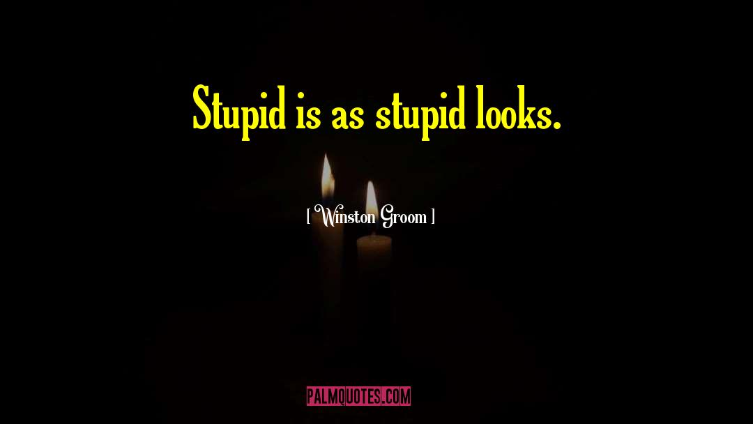 Winston Groom Quotes: Stupid is as stupid looks.