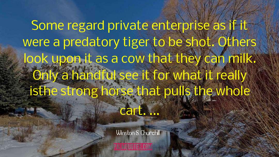 Winston S. Churchill Quotes: Some regard private enterprise as