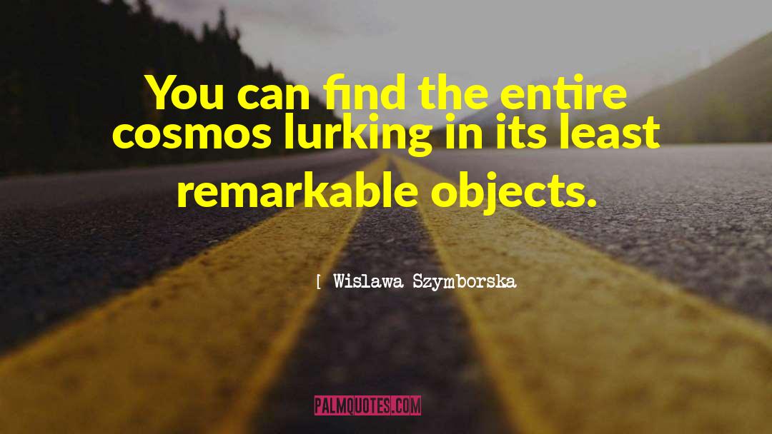 Wislawa Szymborska Quotes: You can find the entire