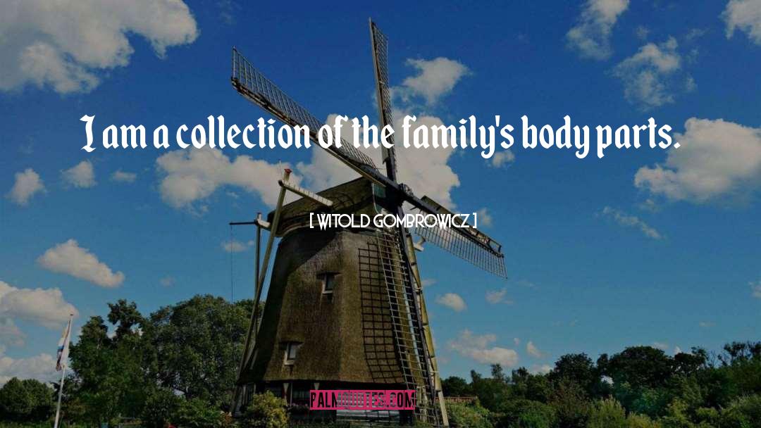 Witold Gombrowicz Quotes: I am a collection of