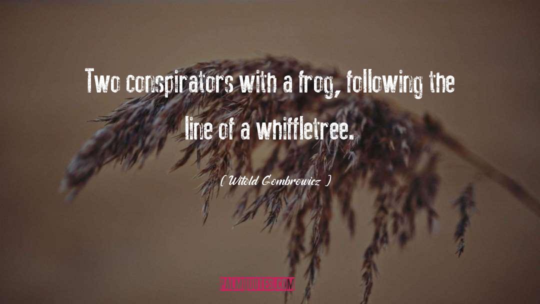 Witold Gombrowicz Quotes: Two conspirators with a frog,