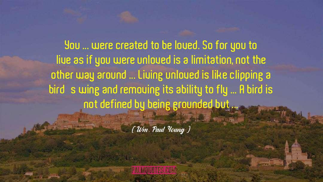 Wm. Paul Young Quotes: You ... were created to