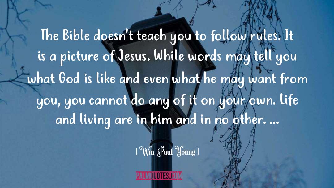 Wm. Paul Young Quotes: The Bible doesn't teach you