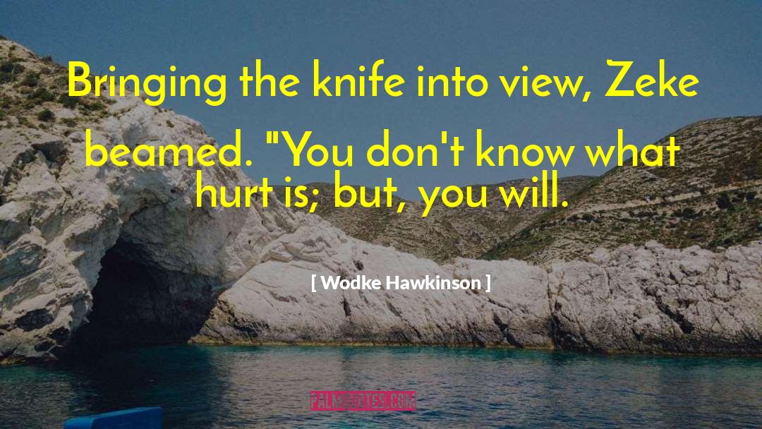 Wodke Hawkinson Quotes: Bringing the knife into view,