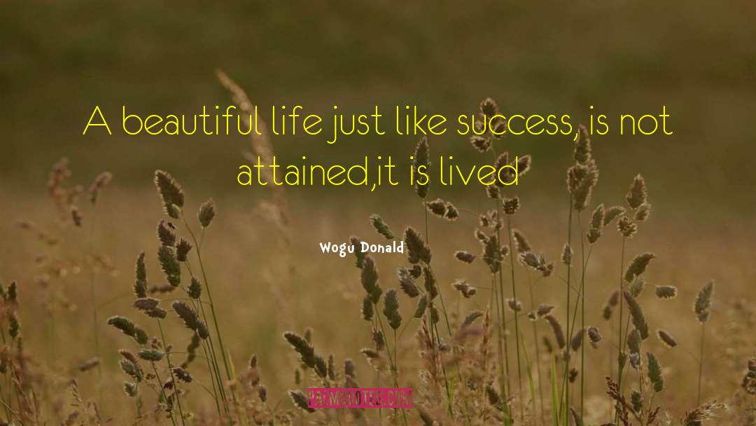 Wogu Donald Quotes: A beautiful life just like