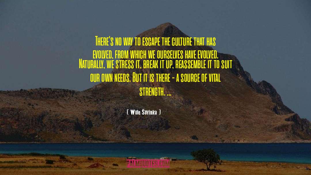 Wole Soyinka Quotes: There's no way to escape