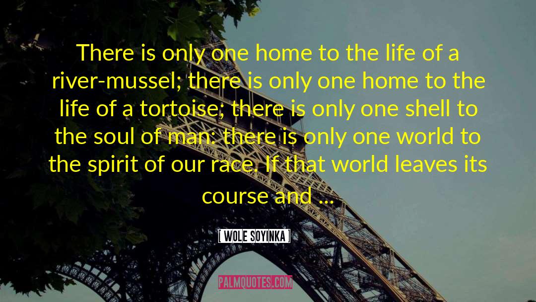 Wole Soyinka Quotes: There is only one home