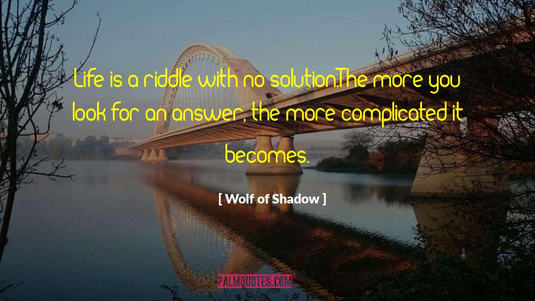 Wolf Of Shadow Quotes: Life is a riddle with