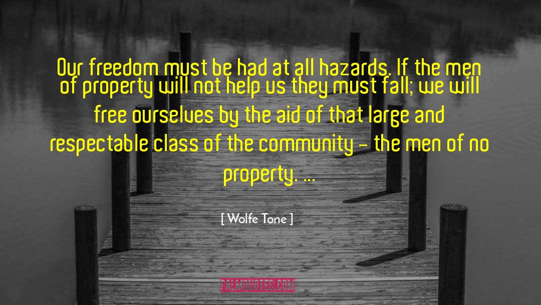 Wolfe Tone Quotes: Our freedom must be had